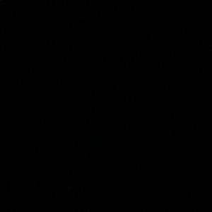 Meet your Posher, Kayden